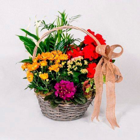 Centros y cestas de flores