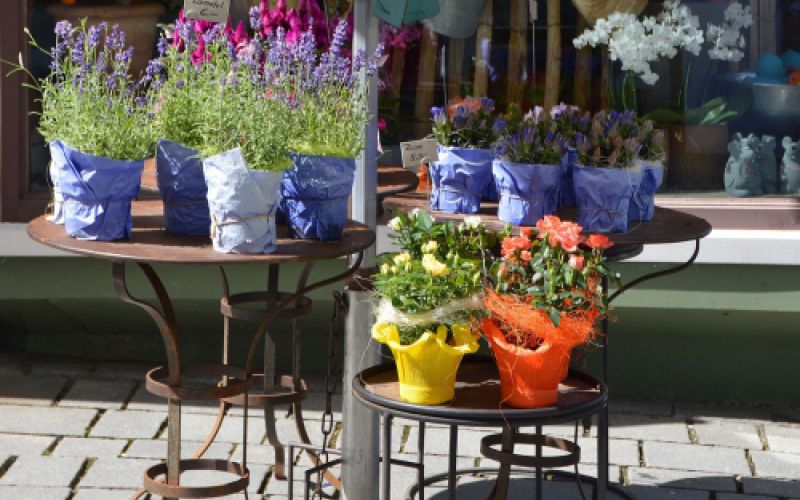Floristería Ocaña