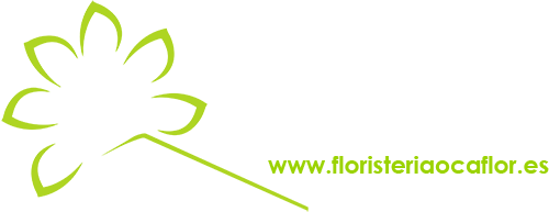 Ocaflor Floristería